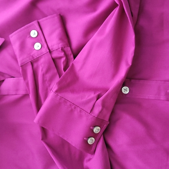 NWOT BR Non-Iron Fitted button down shirt, 8P - Picture 4 of 5